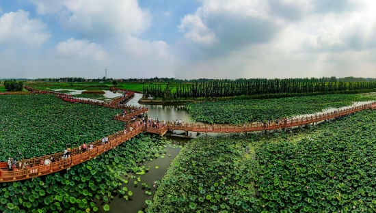 （菏澤市曹縣黃河故道濕地風(fēng)景區(qū)。圖片來源：菏澤市攝影家協(xié)會）